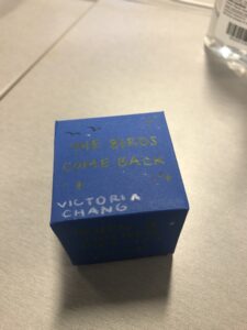 A blue cube that says "the birds came back' and has line drawings of birds and stars. 